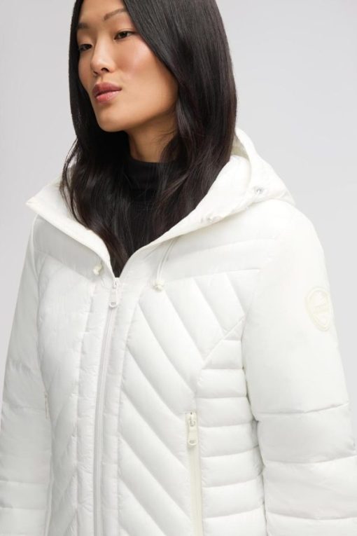 Cartoria.shopca3053b31d 15