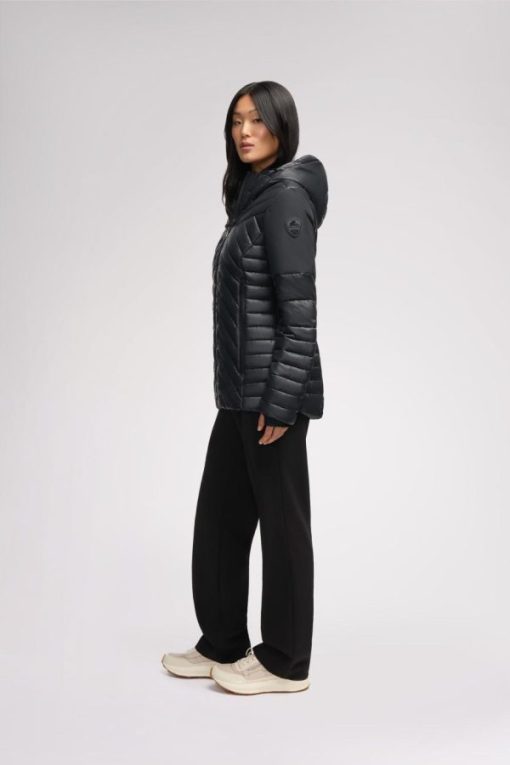 Cartoria.shopca3053b31d 2