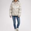 Cartoria.shopd281c4592d 1