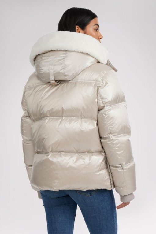 Cartoria.shopd281c4592d 11