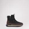 Cartoria.shopd8347d0744 1