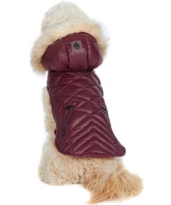 Cartoria.shope3445f4e65 1
