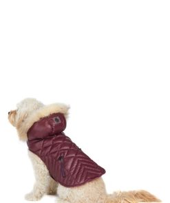 Cartoria.shope3445f4e65 2