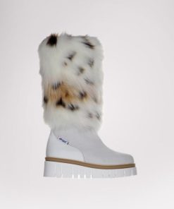 Cartoria.shope69bb1f551 1