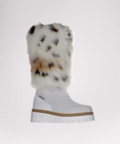 Cartoria.shope69bb1f551 2