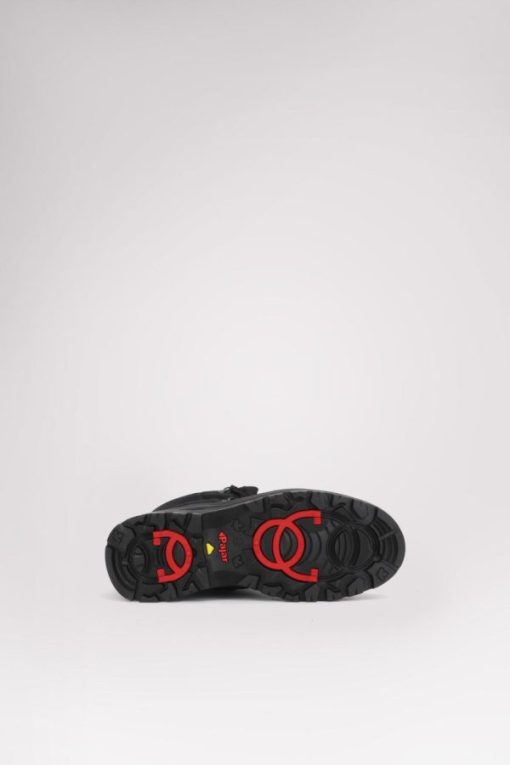 Cartoria.shope7c0b28659 5