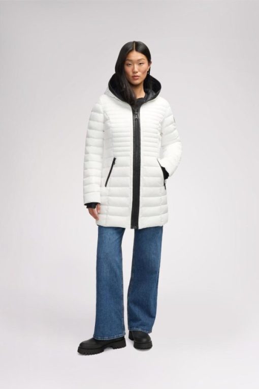 Cartoria.shopf8f05390ed 6