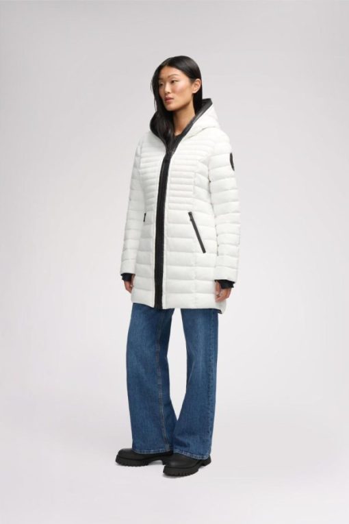 Cartoria.shopf8f05390ed 7