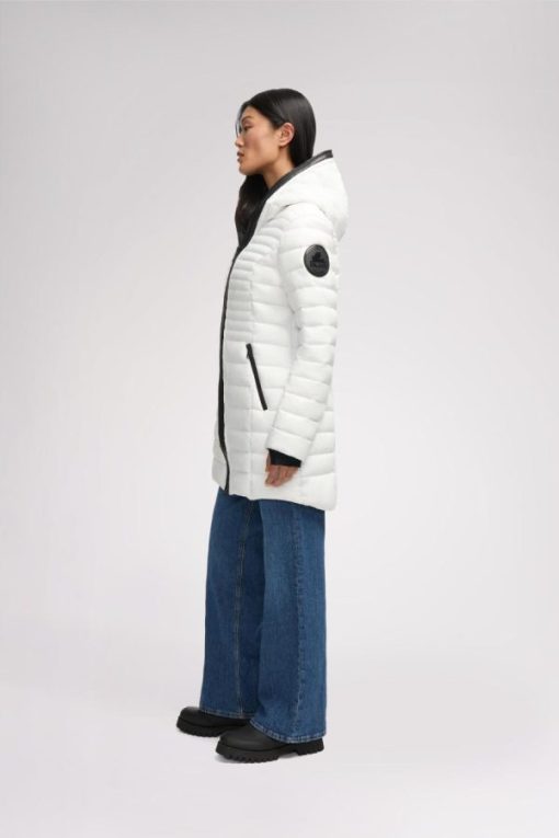 Cartoria.shopf8f05390ed 8