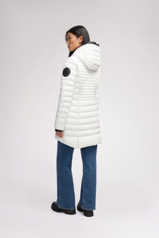 Cartoria.shopf8f05390ed 9
