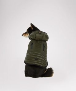 Cartoria.shopfa36f36868 1