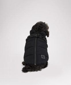Cartoria.shopfbb95e208e 1