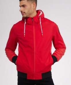 Cartoria.shopfc381cee50 3